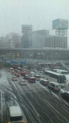 東京　雪　成人式